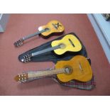 Three Acoustic Guitars, to include an Encore ENC 340 FT, Cordoba MC-03 and a Palma C103N.