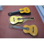 Three Acoustic Guitars, a Leonora, a Hohner and one other unnamed.