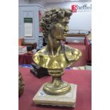 Model Classical Bust of 'David', gilded, on plinth, 33cm high.