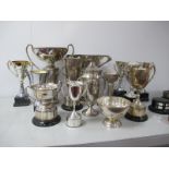 A Collection of Assorted Plated Trophy Cups, including "Bro J.E. Younge R.O.H. Memorial Trophy", "