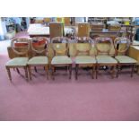 A XIX Century Set of Six Mahogany Balloon Back Chairs,with drop in seats, on turned forefront legs.