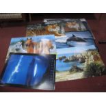 A Quantity of Posters, including Lions Nature Photo, Travel, etc.