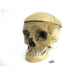 An Early XX Century Human Skull, with removable cranium and jaw de-attached, 18cm long.