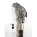 A Walking Cane with Bird of Prey Perched on Rock Handle, stamped 925, with white metal ferrule,
