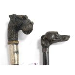 An Early XX Century Walking Stick, the wood handle carved as a dog's head with glass eye (one