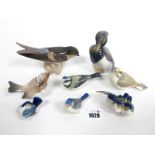 Eight Danish Porcelain Models of Birds, 5-11.5cm high. (8)