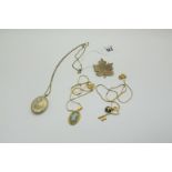 A "925" Gilt Chain, suspending oval locket pendant detailed with a butterfly, stamped "14KGF", a