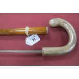 A Sword Cane with Tri Foil Blade 76.5cm Long, set in a Malaca cane with white metal/steel tip,