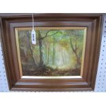 •Steve Slimm (b.1953) *ARR, Woodland Landscape, oil on board, signed lower right, 18 x 23.5cm.