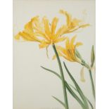 A BOTANICAL WATERCOLOR, LATE 19TH-EARLY 20TH CENTURY