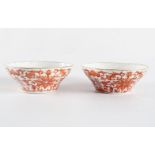 PAIR 19TH-CENTURY CHINESE BOWLS