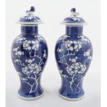 PAIR OF CHINESE QING BLUE & WHITE URNS