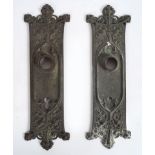 PAIR OF EDWARDIAN BRASS DOOR PLATES