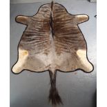 TAXIDERMY: ANTELOPE HIDE