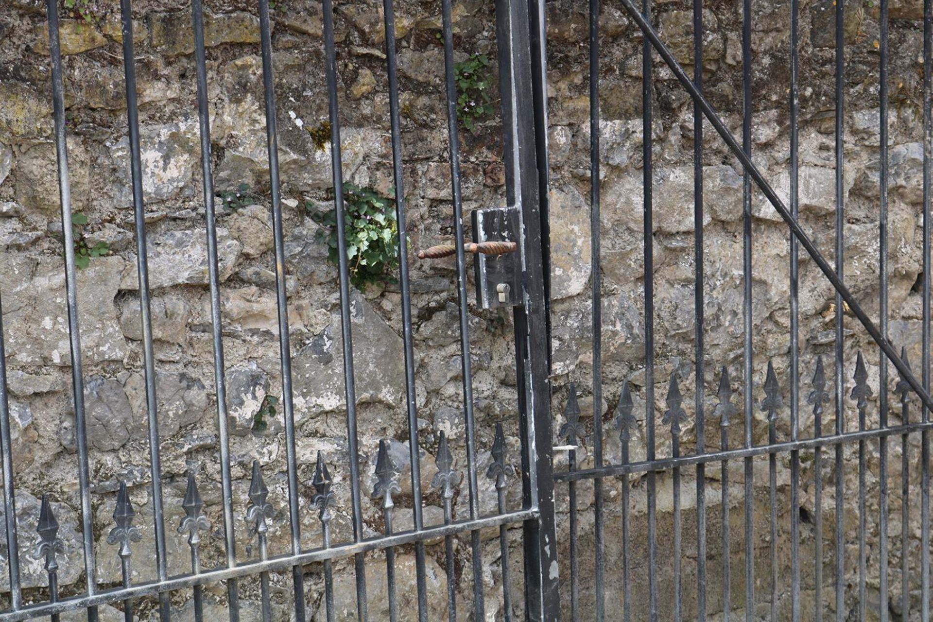 LARGE 19TH-CENTURY IRON ESTATE ENTRANCE GATES - Image 4 of 4