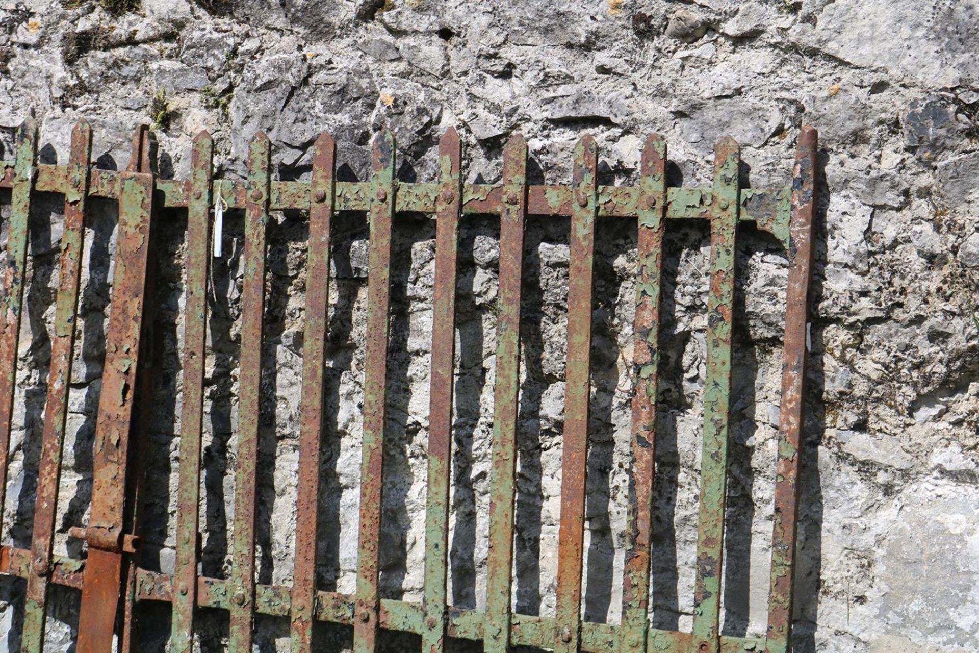 PAIR OF 19TH-CENTURY CAST IRON GARDEN GATES - Image 2 of 2