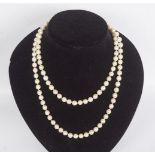 111 UNIFORM CULTURED PEARL NECKLET