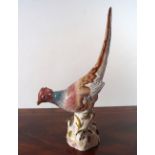 19TH-CENTURY GERMAN PORCELAIN PHEASANT