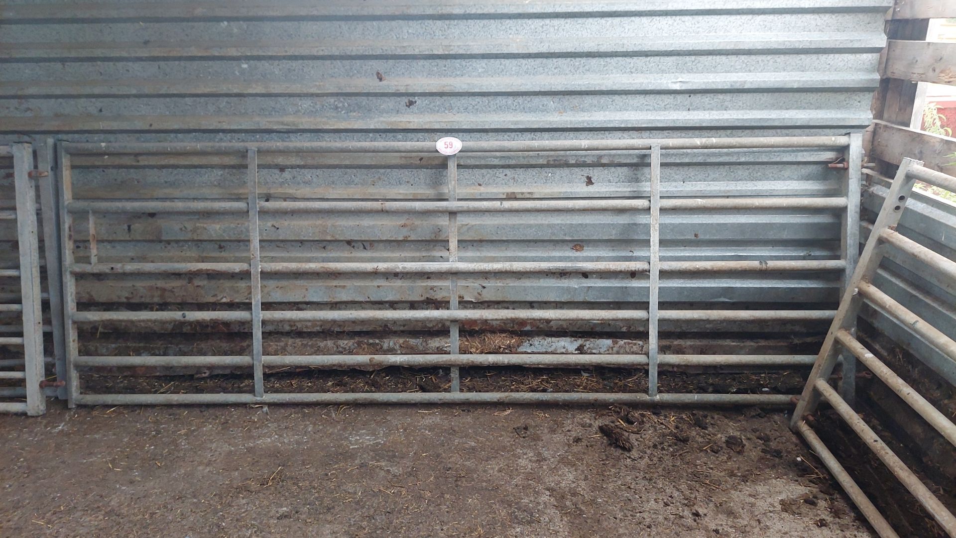 Single 11ft Field Gate