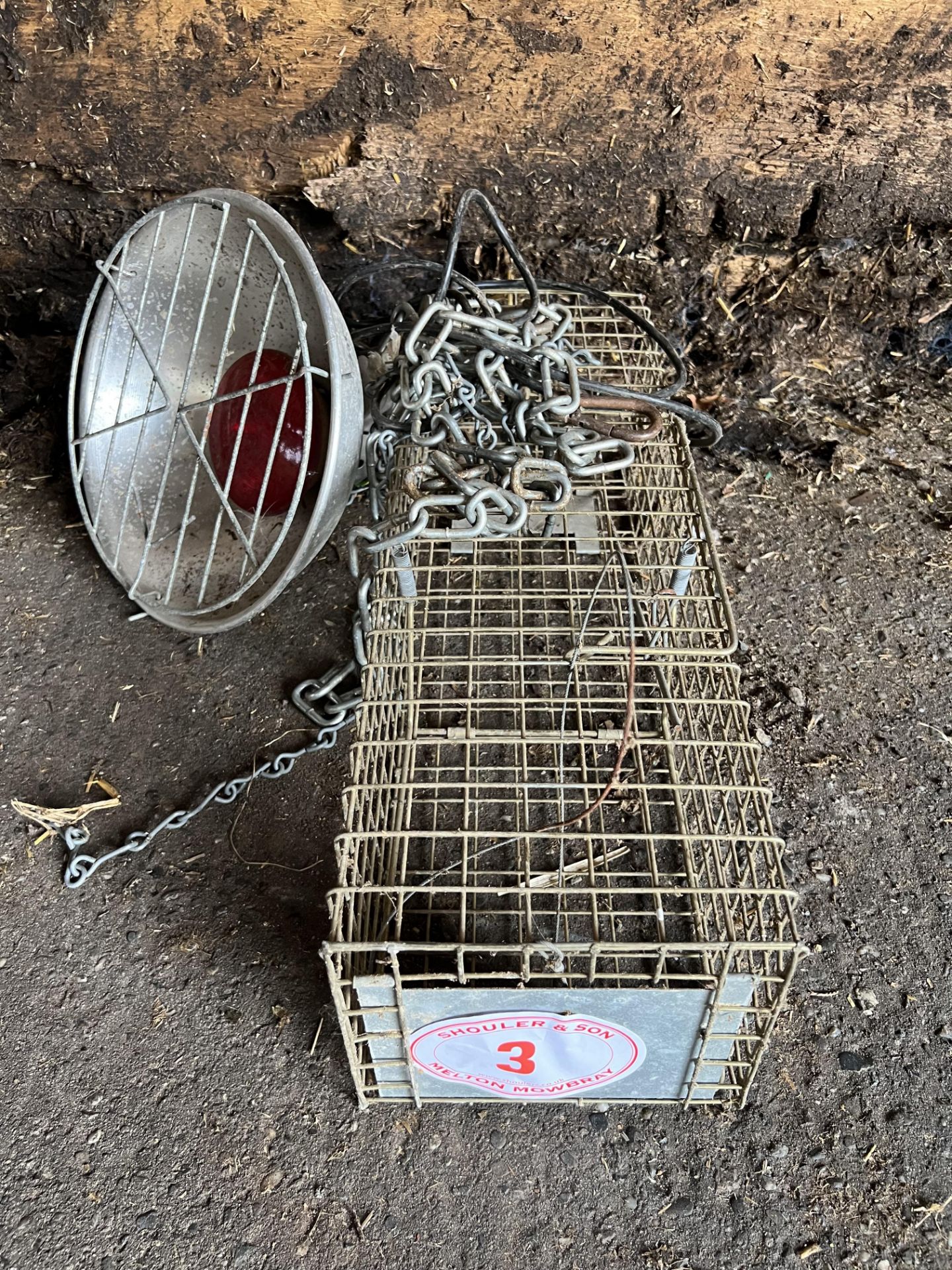 Heat Lamp and Rat Trap