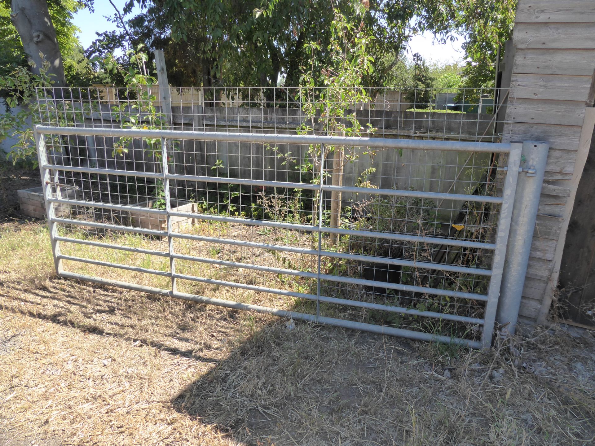 Pair of Meshed 10ft Gates