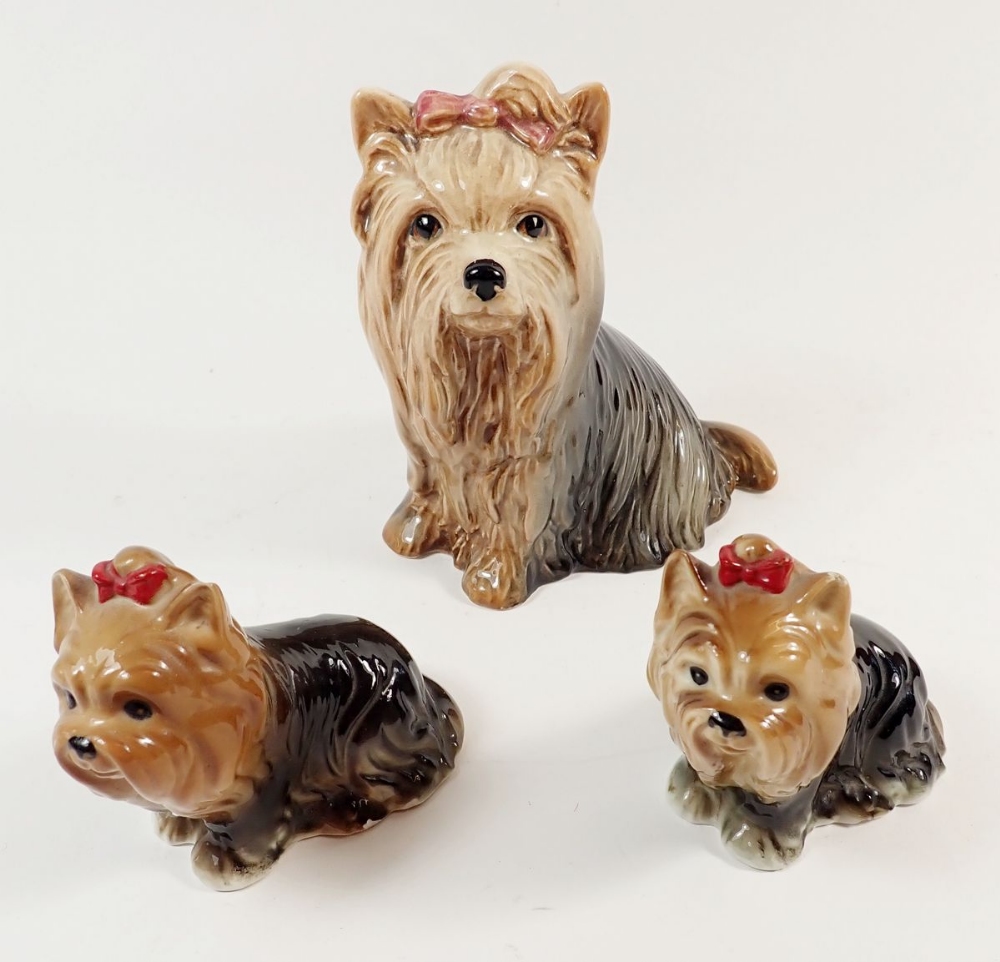 Three Sylvac Yorkshire Terriers, largest measures approx 13.5cm high and stamped No 5027 to base