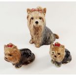 Three Sylvac Yorkshire Terriers, largest measures approx 13.5cm high and stamped No 5027 to base