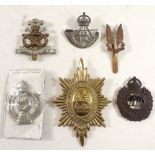A selection of cap badges
