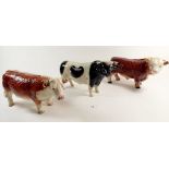 A Melba bull, Coopercraft cow and another bull