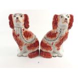 A pair of Victorian Staffordshire dogs, 23cm