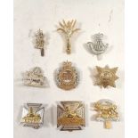A selection of Staybrite cap badges