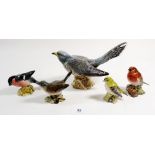 A Bewsick cuckoo 2315 and four smaller birds