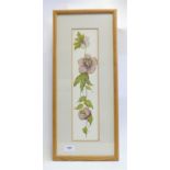 J Willett - watercolour Hellebores, 33 x 9.5cm