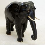 An early 20th century large size carved ebony elephant with ivory tusks, 56cm tall