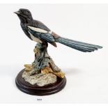 A model of a Magpie (beak a/f)