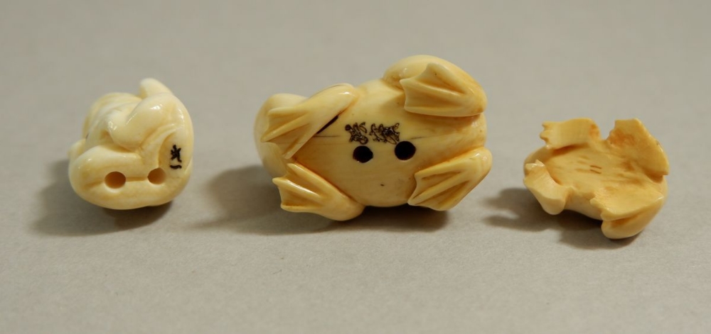 Two Japanese Meiji period ivory netsuke of frogs and two miniature carved frogs - the netsuke - Image 2 of 2