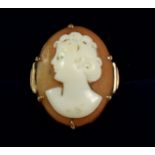 A 9 carat gold cameo ring, size M to N, 3.7g