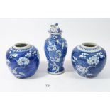 Two late Qing Dynasty Chinese prunus blossom ginger jars (no covers) and a vase with lid and Fo