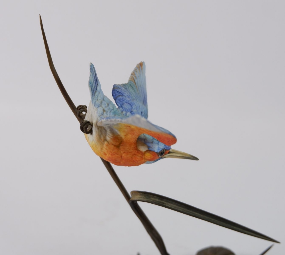 A bisque and bronze figure of a Kingfisher, 20cm - Bild 2 aus 2