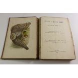 W T Greene - 'Birds I have kept in Years Gone by' published by L Upcott Gill, 1885
