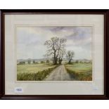 F McClenahan - watercolour oak tree at Uffington, 22 x 31cm