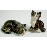 Two Winstanley pottery cats, seated one is 15 cm tall