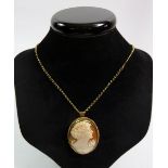 An oval yellow metal cameo pendant on 9 carat gold chain, (chain 4.9g)