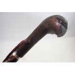 An early 20th century carved and painted parrots head cane handle on associated bamboo effect ash