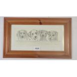 Steve Connell - pencil sketches of four dogs, 10 x 25cm