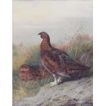 Two framed and glazed pictures with game birds, by A.Thorburn and S. TrinderCondition report: In our