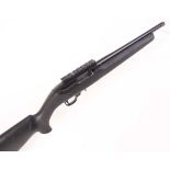 Ⓕ (S1) .22 Ruger 10/22 semi automatic carbine, 14 ins screw cut barrel by Rimfire Magic (capped), 10