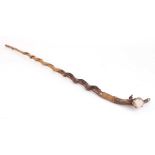 Horn handled walking stick