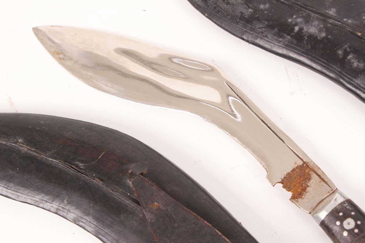 Three Kukri knives: 8½ ins, 9 ins, and 6 ins blades, each with decorative etching to blade and in - Image 3 of 5