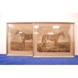 After George Fothergill, two framed prints of racehorses, together with a hand painted print of a